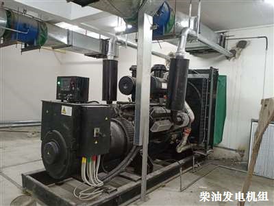上海申动柴油发电机 湖北安装