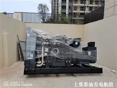 上柴柴油发电机组 供货